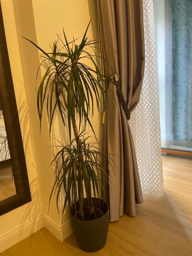 페스카라 Carducci 83 B&B 외부 사진